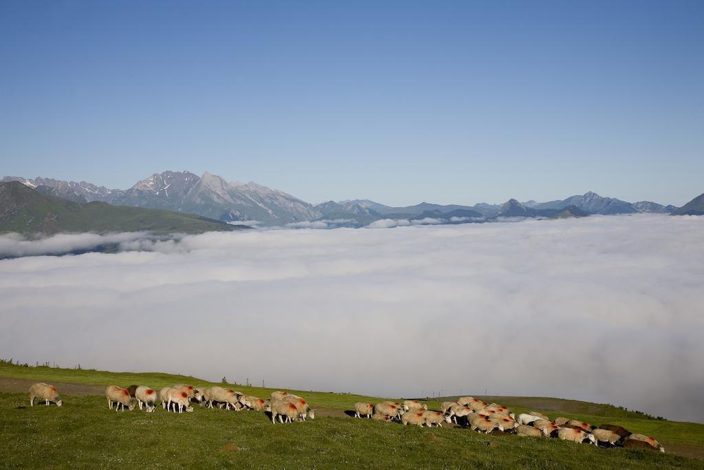 Hotel Le Viscos Saint-Savin  Dış mekan fotoğraf